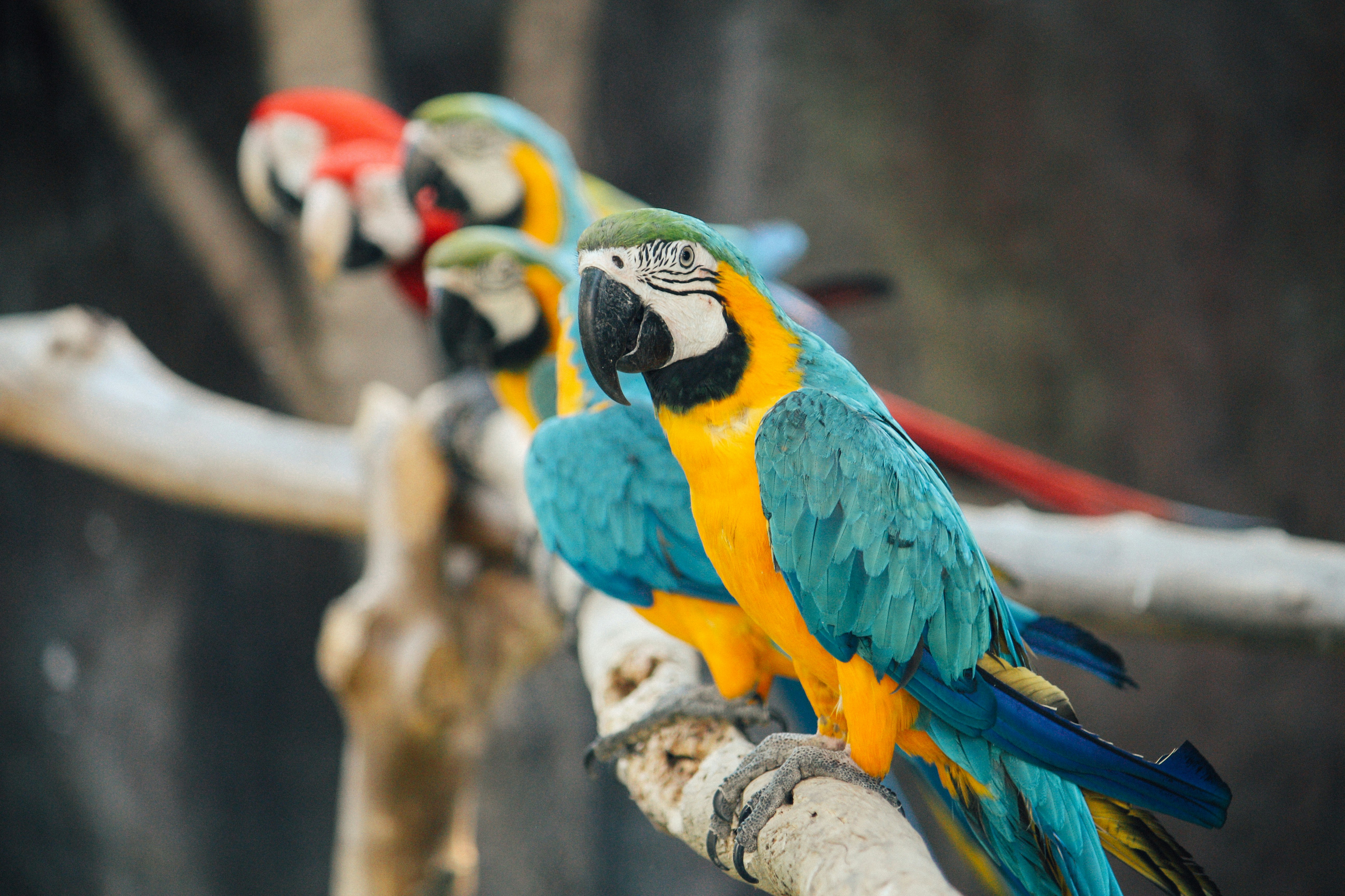 zoo munich